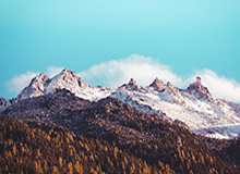 开云官网-南宫28：在日常里练就的匠心美学