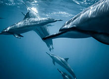 kaiyun-B体育官方网站——开启你的运动新纪元