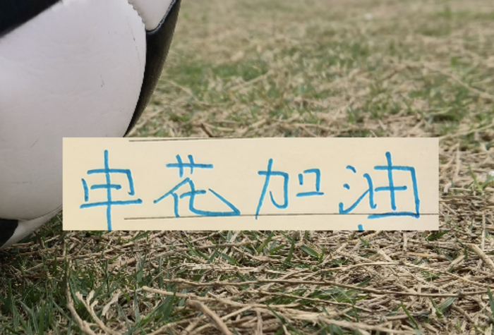 开云官网-如果没有罚分的话！申花应该是夺冠热门|上海申花|联赛|成都|中超|上海申花足球俱乐部_新浪体育_新浪新闻